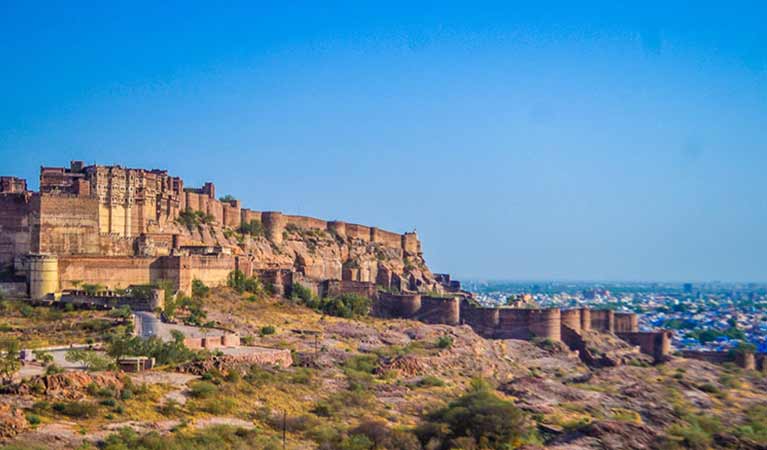 Majestic Rajasthan